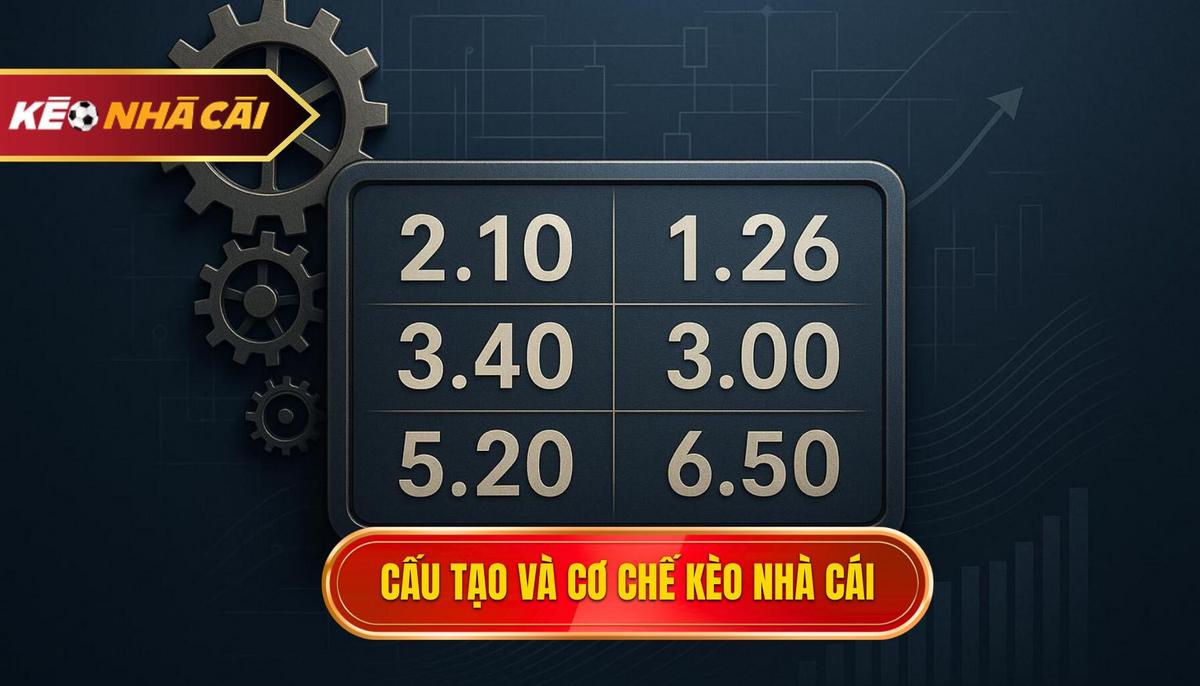 Cấu Tạo và Cơ Chế Hoạt Động Của Kèo Cược